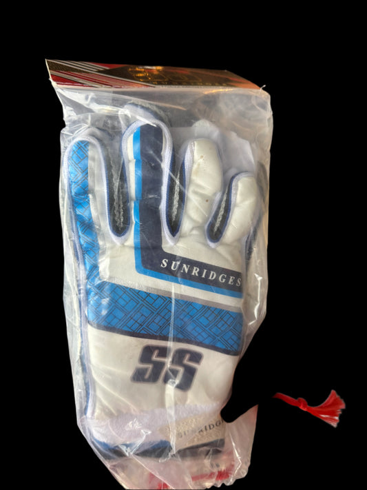 SS Indoor Cricket Batting Gloves