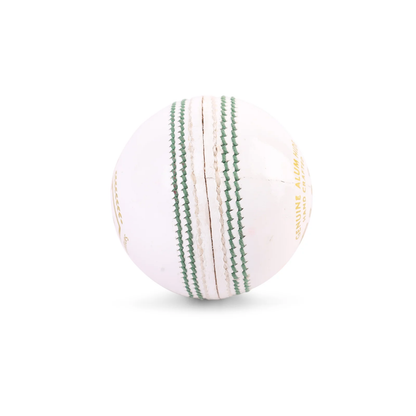 SG Club White Cricket Leather Ball Youth